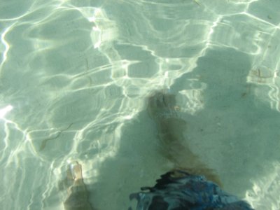 IMG_0134.JPG