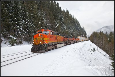 Z-Train West Scenic