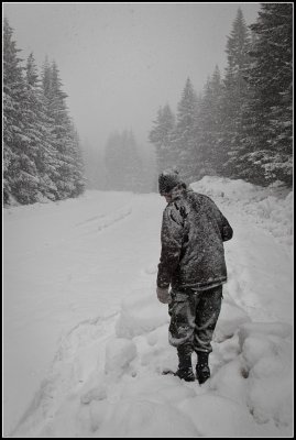 Waiting in a blizzard