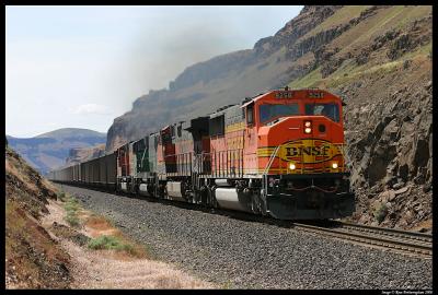 Empty Coal Train