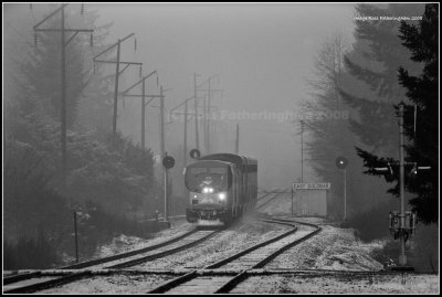 Amtrak #7 @ East Gold Bar