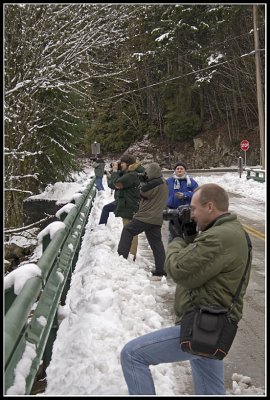 Rail Fans @ MoneyCreek