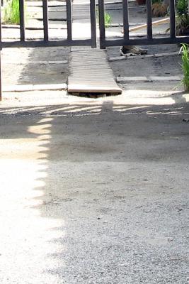 g4/16/640216/3/62042750.vGZE0kAV.jpg