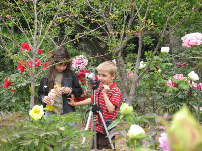 Young flowers