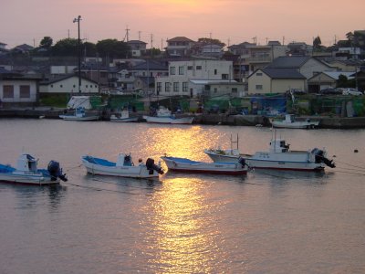Gold sunset