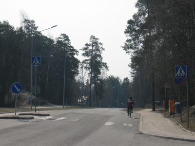 Woods in Mälikkälä