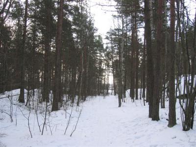 Vuodenajat Suomessa 2006 090.jpg