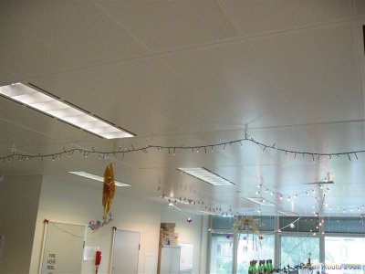 Xmas lights in office 003.jpg