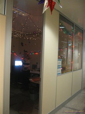 Xmas lights in office 035.jpg