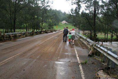 Springbrook Nerang Murwillumbah Rd 010.jpg