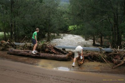 Springbrook Nerang Murwillumbah Rd 018.jpg