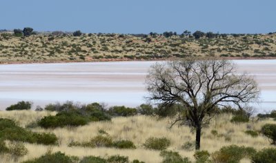 Salt Lake near Mt. Conner