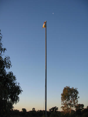 What's that up the flagpole?