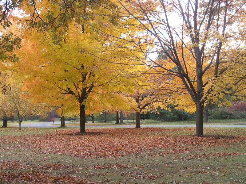 autumn mood
