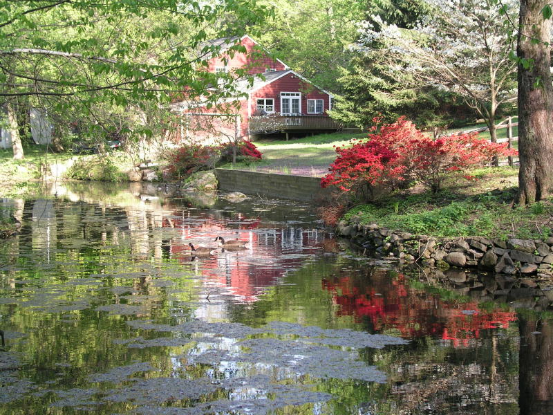 red reflection