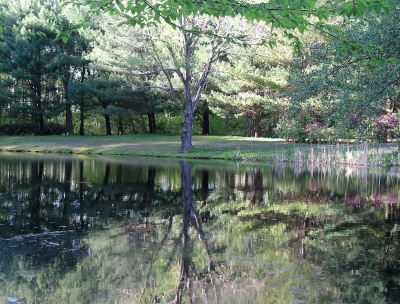 wyckoff park