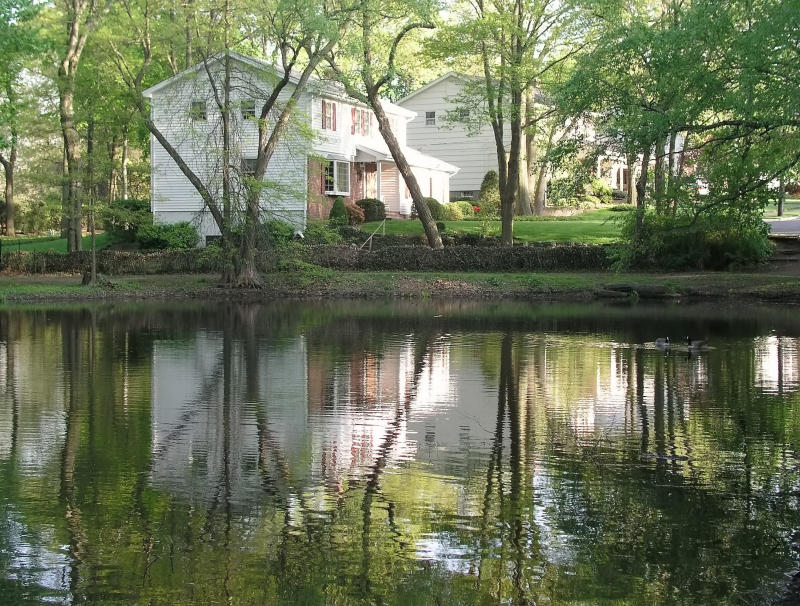 twinney park reflection