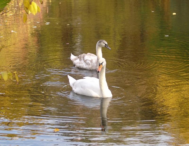 mom and baby