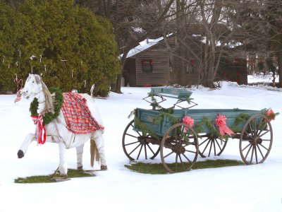 horse and carriage