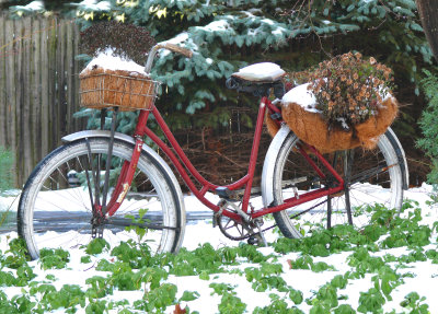 a winter's bike