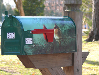 cardinals mailbox