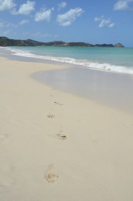 Antigua beach