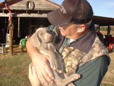 WHEN A PUP WILL LAY BACK IN YOUR ARMS LIKE THIS, IT IS A VERY GOOD SIGN OF CALMNESS AND INTELLIGENCE