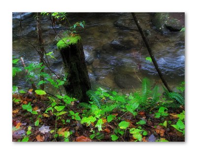 At the edge of the Stream