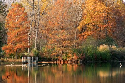 Autumn In Illinois