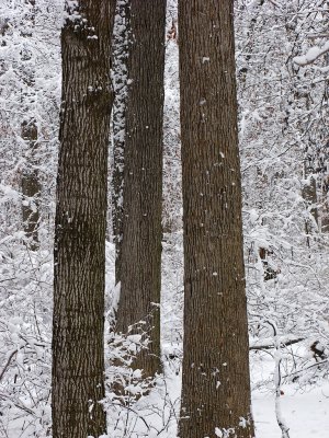 IMG_0280.jpg