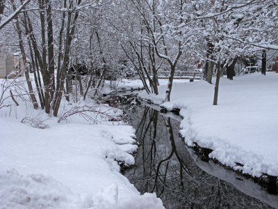 IMG_0309.jpg