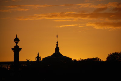 DSC_1134.JPG
