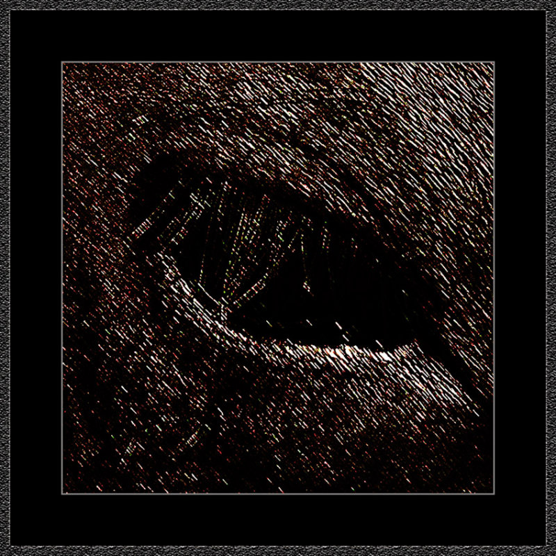 f.o.m.-Sandbox-685.jpg