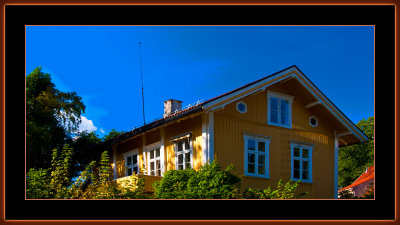 248=IMG_8175.jpg