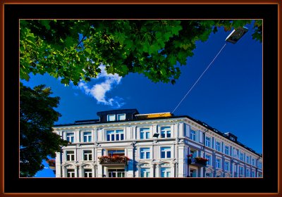 249=IMG_8177.jpg
