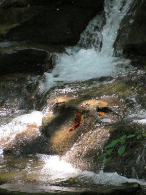 Waterfalls in Bristol, VA.