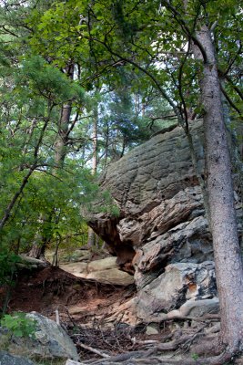 Cumberland Gap Outlook