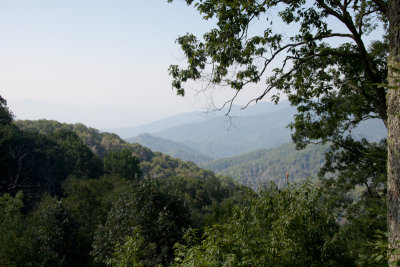 Smoky Mountains View