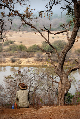 Water for Elephants