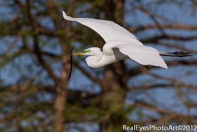 greategret-4547.jpg