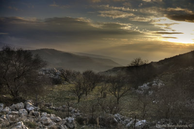 A View From Mt. Hermon