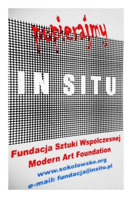 IN SITU - Modern Art Foundation