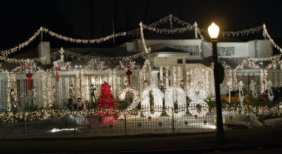 L.A. Christmas Lights