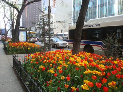 DSC02075.JPG