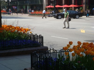 DSC02114.JPG