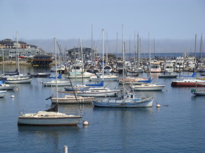 DSC03544.JPG