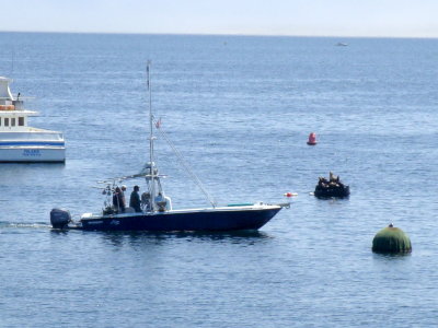 DSC03546.JPG