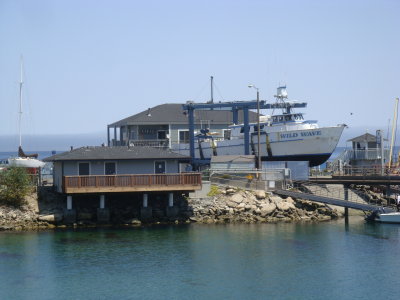 DSC03570.JPG