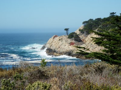 Point Lobos State Park and Preserve