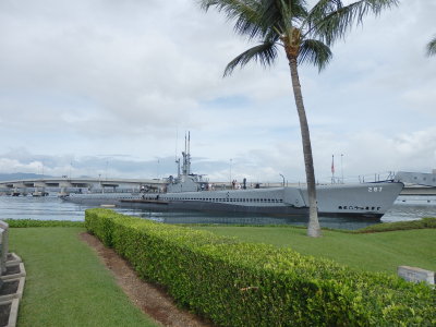 PA210575.JPG